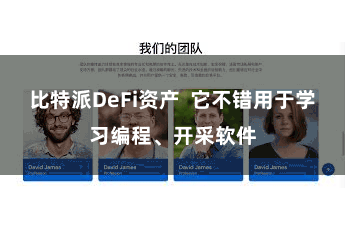 比特派DeFi资产  它不错用于学习编程、开采软件