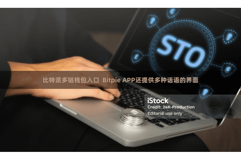 比特派多链钱包入口 Bitpie APP还提供多种话语的界面
