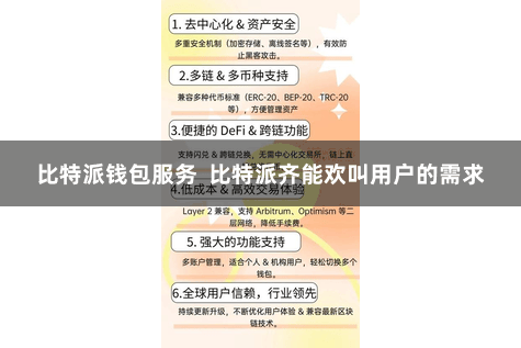 比特派钱包服务  比特派齐能欢叫用户的需求