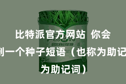 比特派官方网站  你会收到一个种子短语（也称为助记词）